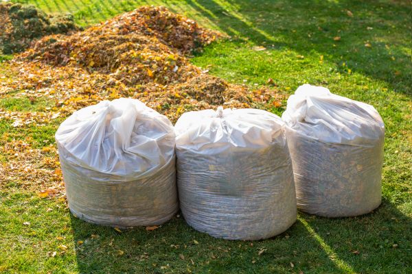 Landscaping Leaf Removal