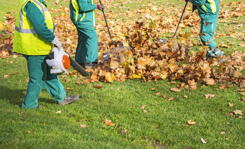 Landscaping Leaf Removal Service