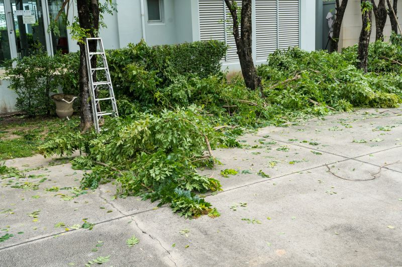 Landscaping Leaf Removal Service