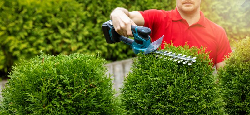 Evergreen Hedge Trimming in Honolulu, HI