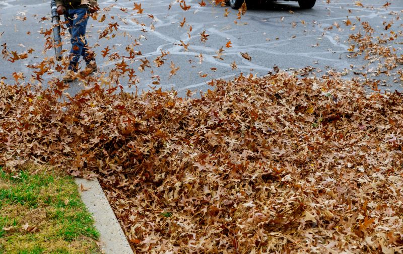Professional Fall Leaf Clearing
