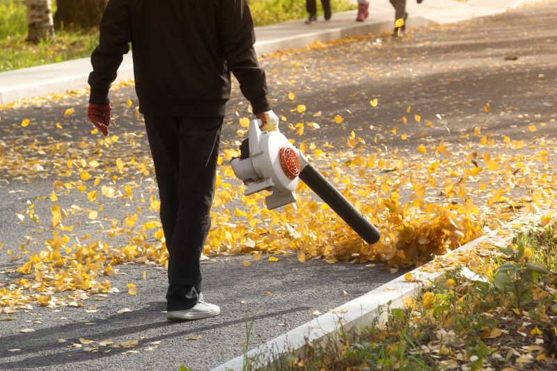 Efficient Leaf Collection Equipment
