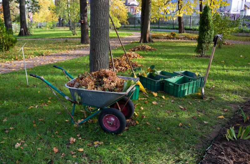 Landscaping Leaf Removal Service
