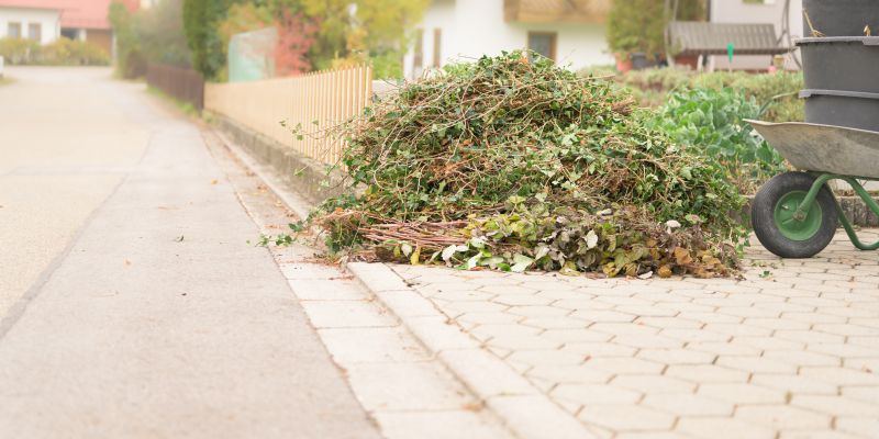 Lawn Waste Removal in Ventura County, CA