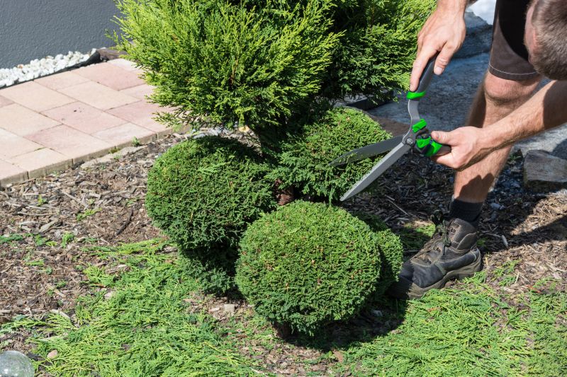 Shrubs Removal in Honolulu, HI