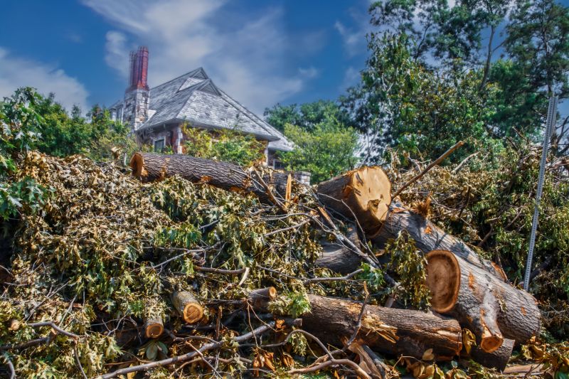 Tree Branch Disposal in Ventura County, CA