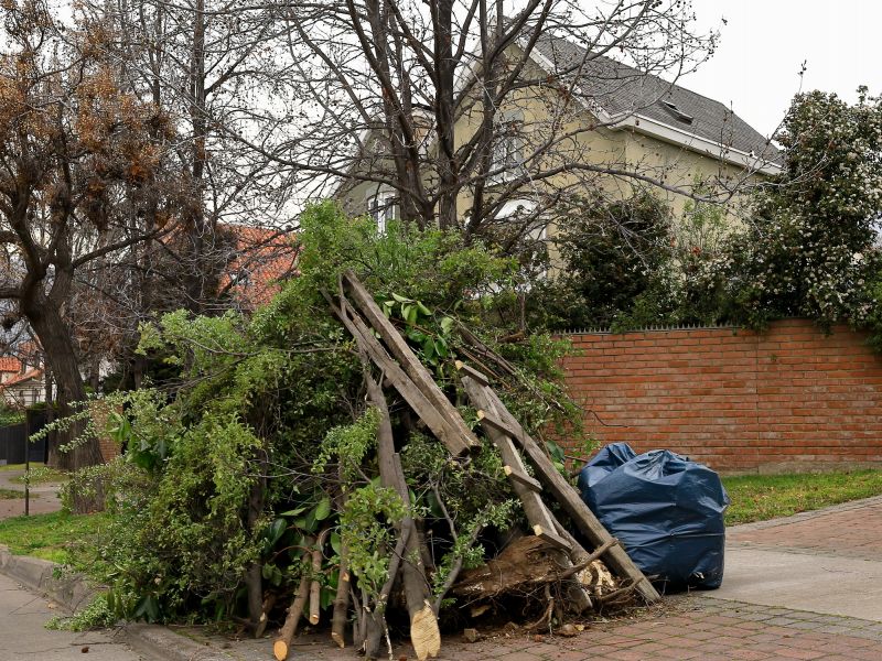 Wood Pile Removal in Honolulu, HI